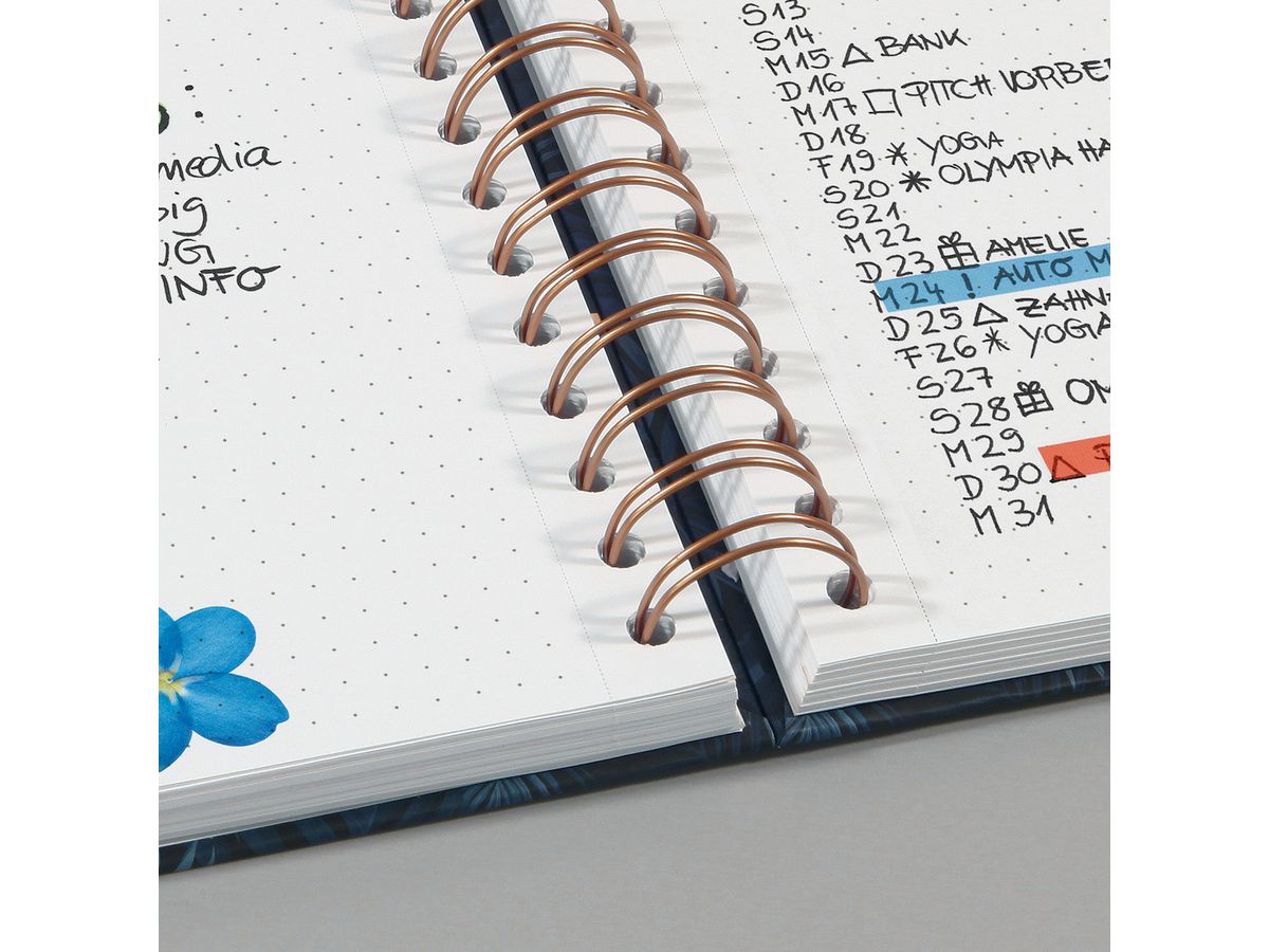 JOLIE Carnet Brush Marks JN611 pointé, 240 S., multic., A5 (4004360797736)