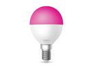 TP-LINK Smart P45 light bulb Tapo L430P Multicolor (1210002604536)