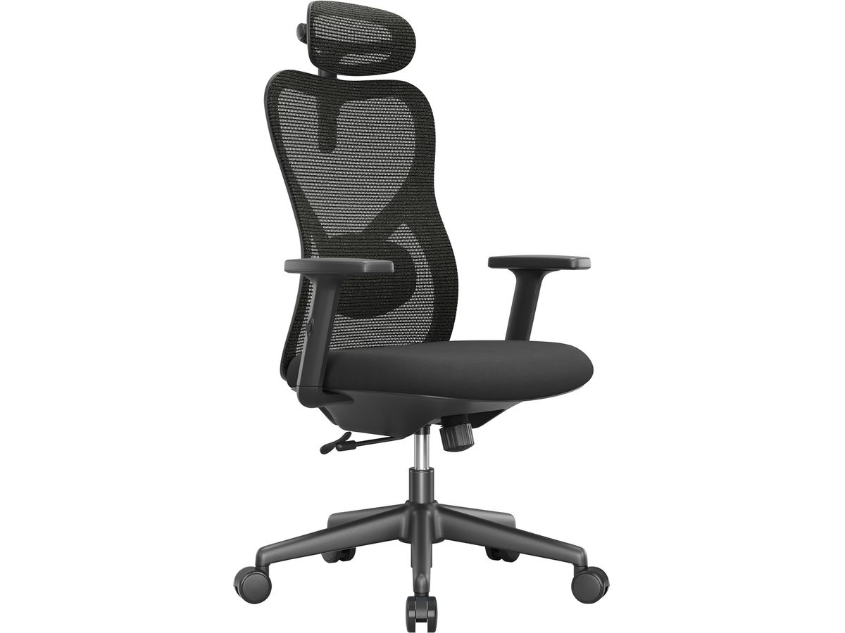 APOLLO Chaise de bureau Vyra CH-539A noir (7613058039996)