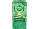 LIPTON Tè delicato alla menta 4071219 25 Piramide (8720608020003)