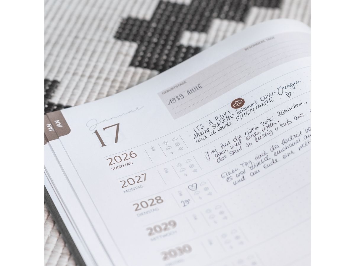 RIDOIDE Agenda décennal 2026-2035 7022404016.26 1J/1P gris AL 21x29.1cm (4003273790575)