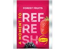 LIPTON Thé aux fruits des bois 4071280 25 Sachets (8720608021338)
