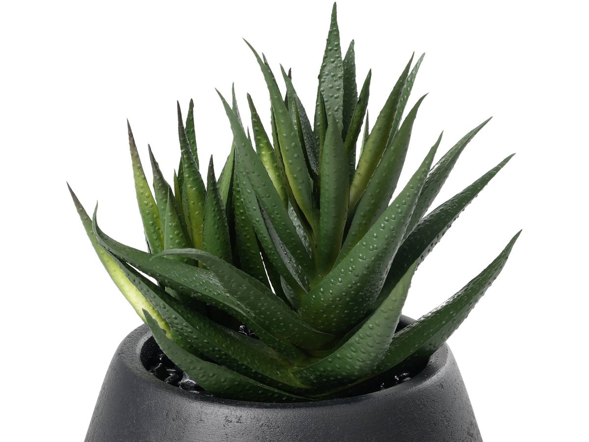 EGLO Plante artificielle 17.5cm 428491 vert, en pot (9008606367900)