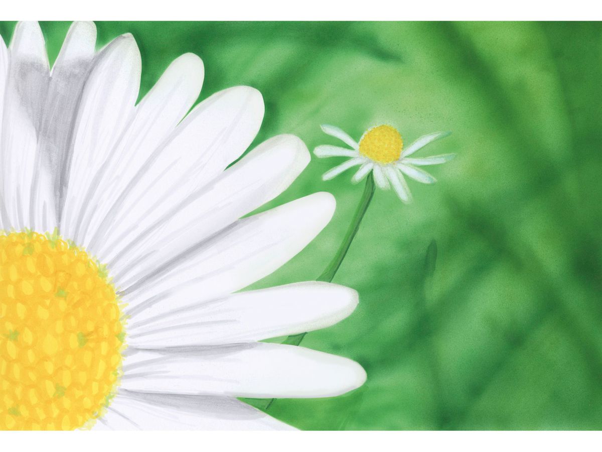 COPIC Marker Classic 20075703 Environment, 12 pz. (4013695257112)