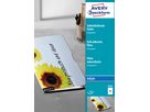 AVERY ZWECKFORM Selbstklebende Folie A4 2501 0.17mm Inkjet 50 Blatt (4004182025017)