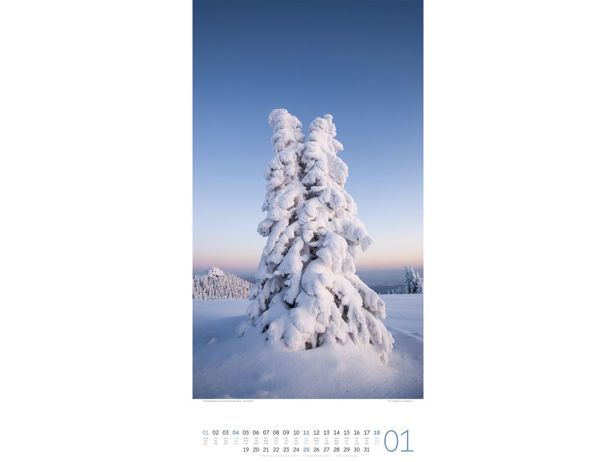 ACKERMANN Bildkalender 2026 2620 Bäume ML 33x66cm (9783838426204)