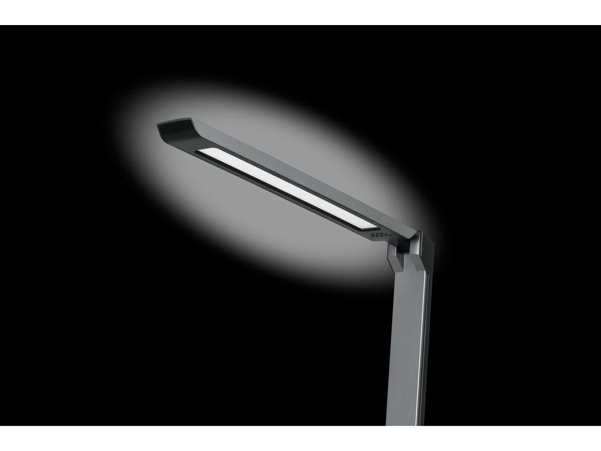 HANSA Lampe de table Lumina 41-5011.109 gris (7612176093835)