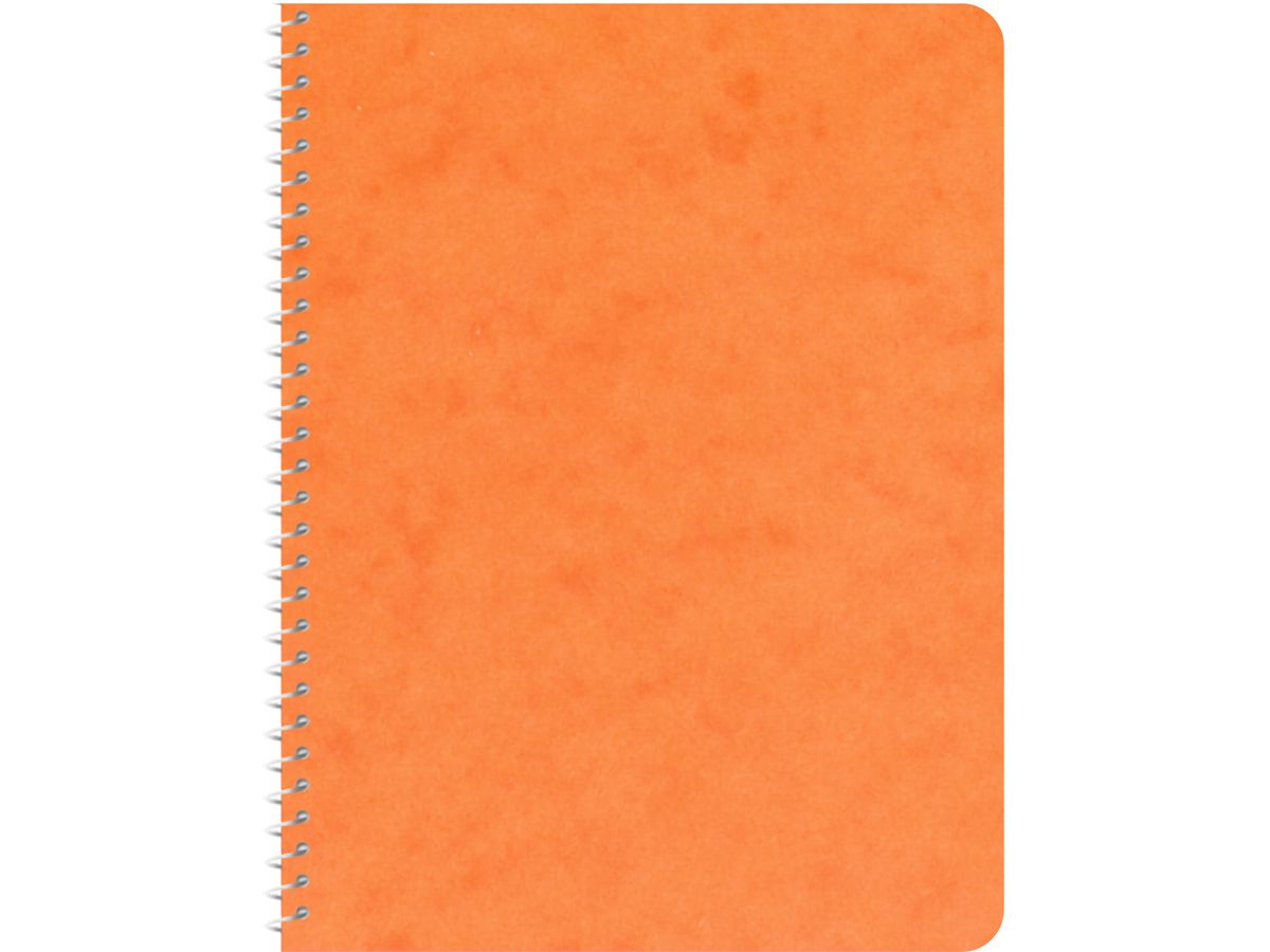 NOVOOO Spiralheft ass. 10.6×14.6cm 729778 kariert, 4mm, 70g 48 Blatt (9010729086729)