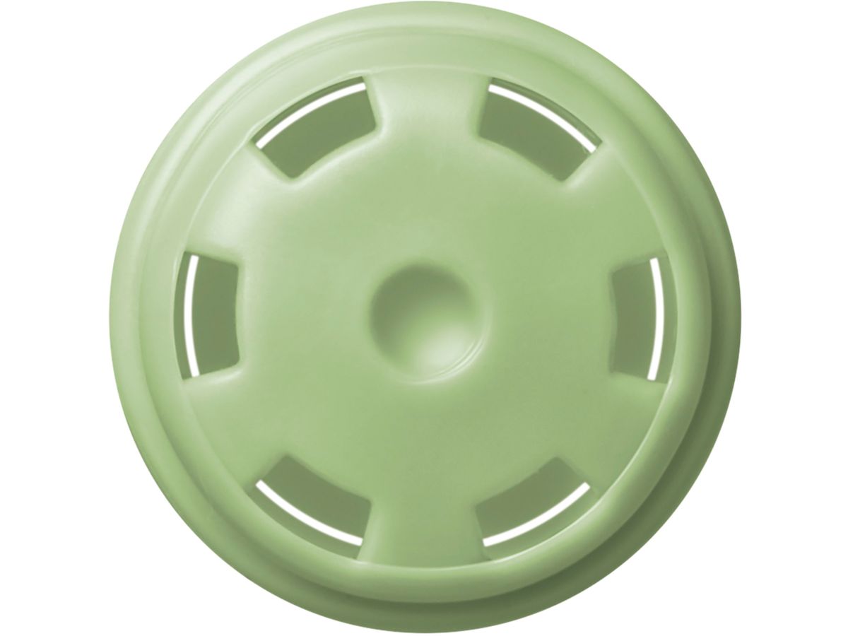 COPIC Marker Ciao 2207563 G21 - Lime Green (4511338007907)