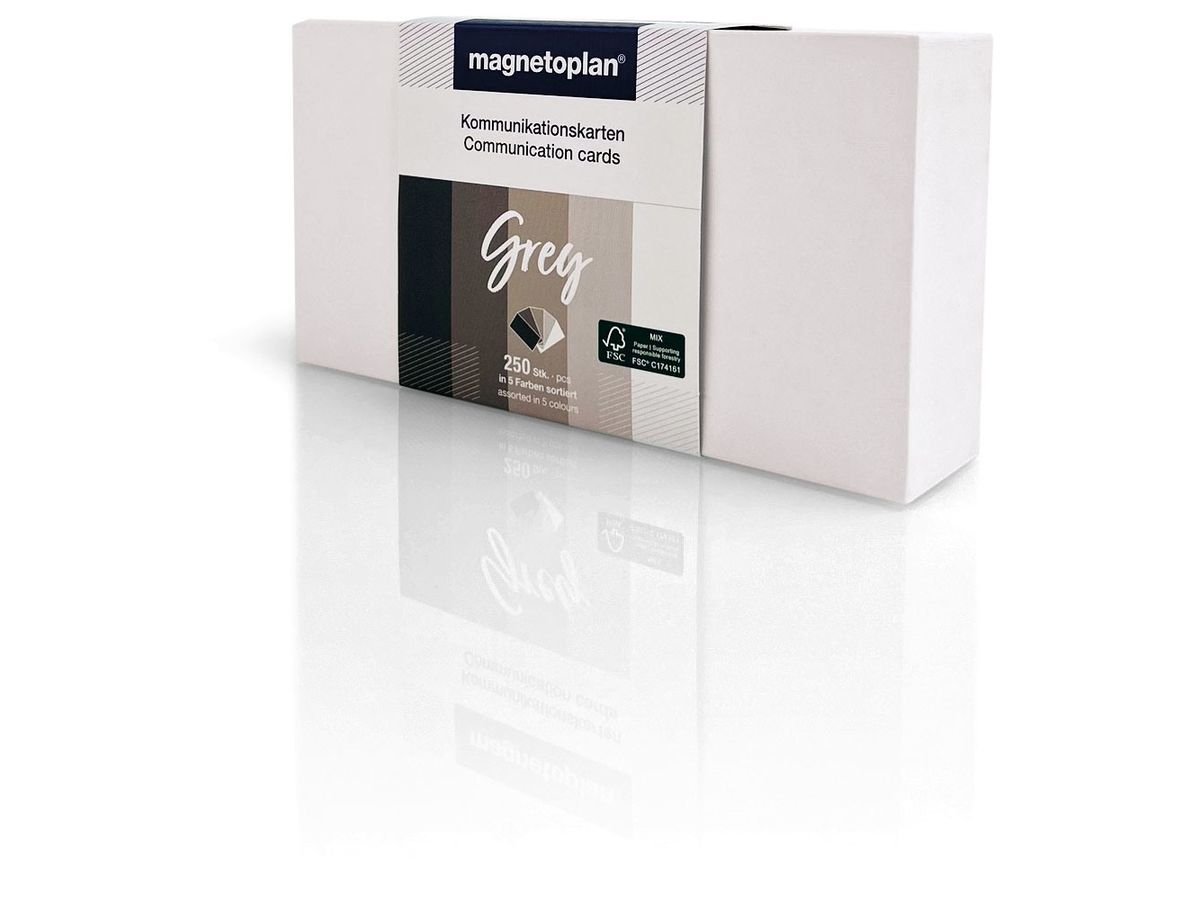 MAGNETOPLAN Schede comunicazione 20x10cm 112501570 Set Grey, ass. 250pz. (4013695067018)