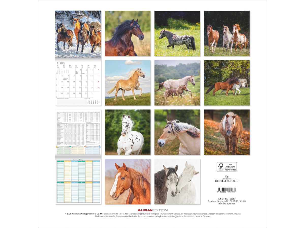 ALPHA EDITION Bildkalender 2026 160303 Pferde ML 30x30cm (4069095003033)