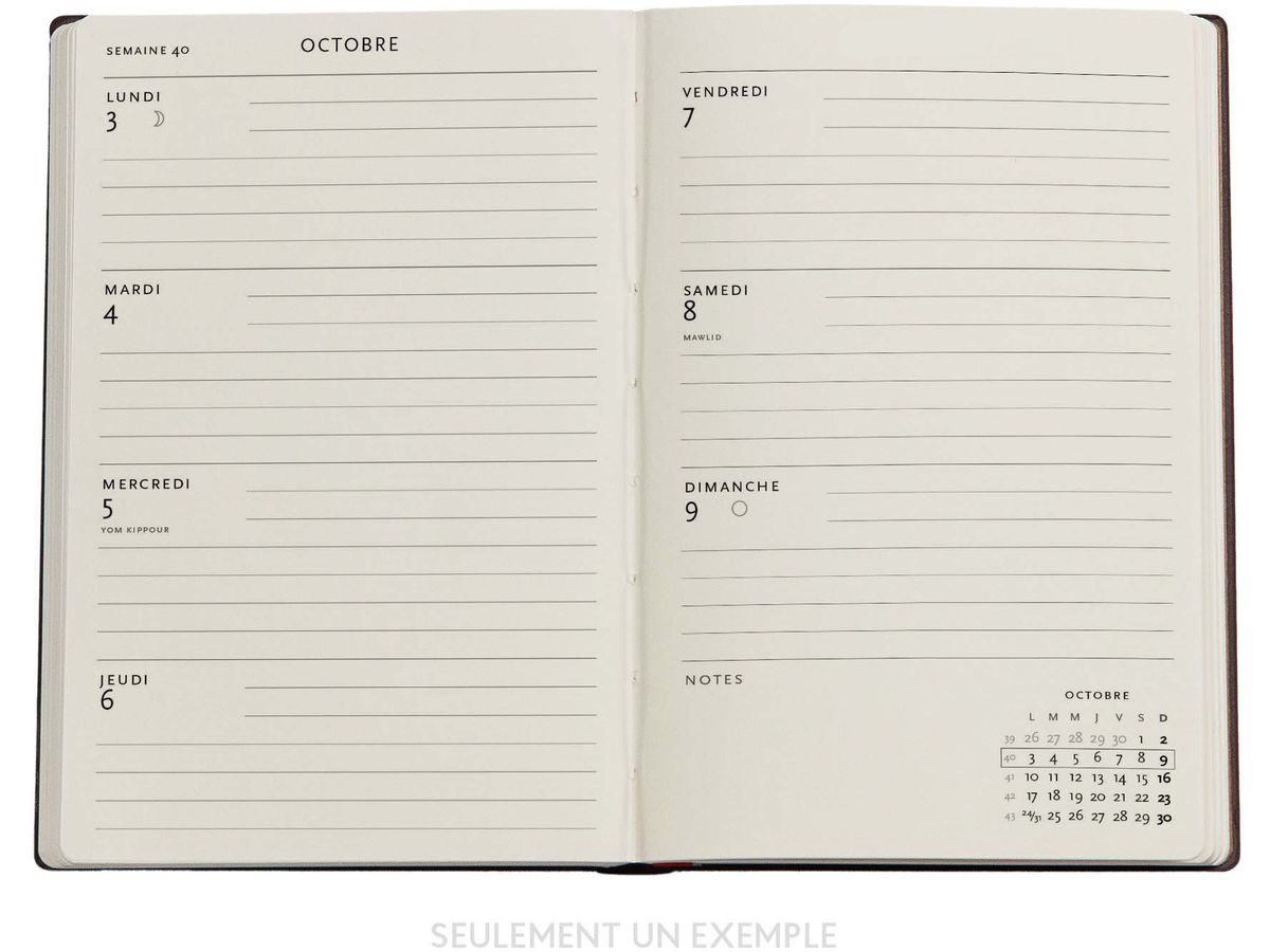 PAPERBLANKS Agenda Rubedo Mini 25/26 FF0955-0 1W/2S 13M FR HOR SC 9.5x14cm (9780349709550)