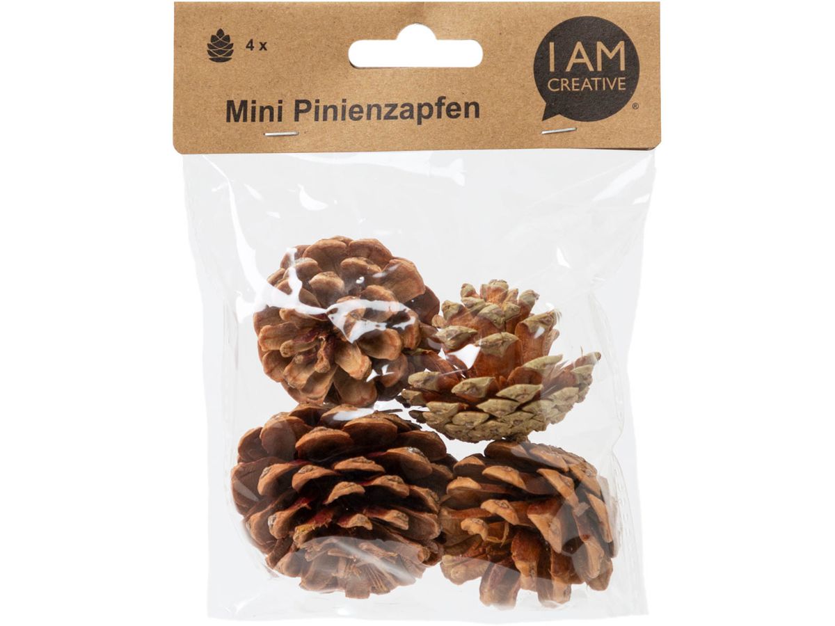 I AM CREATIVE Pigna 6102.871 mini 4 pezzi (7611983219025)