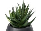 EGLO Plante artificielle 17.5cm 428491 vert, en pot (9008606367900)
