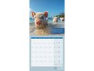 ACKERMANN Bildkalender 2026 4633 Alles wird gut ML 30x30cm (9783838446332)