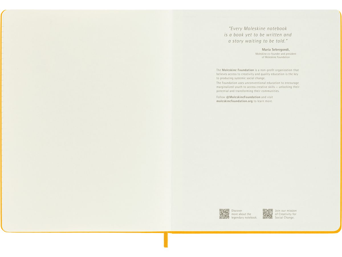 MOLESKINE Carnet Color 25x19cm 56598853087 orange, ligné, 240 page (8056598853087)