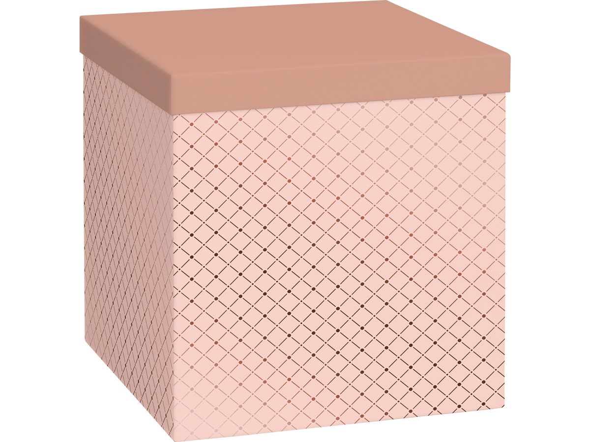 STEWO Boîte cadeau Cube Min 2551513698 rose clair 23cm (7630050889053)