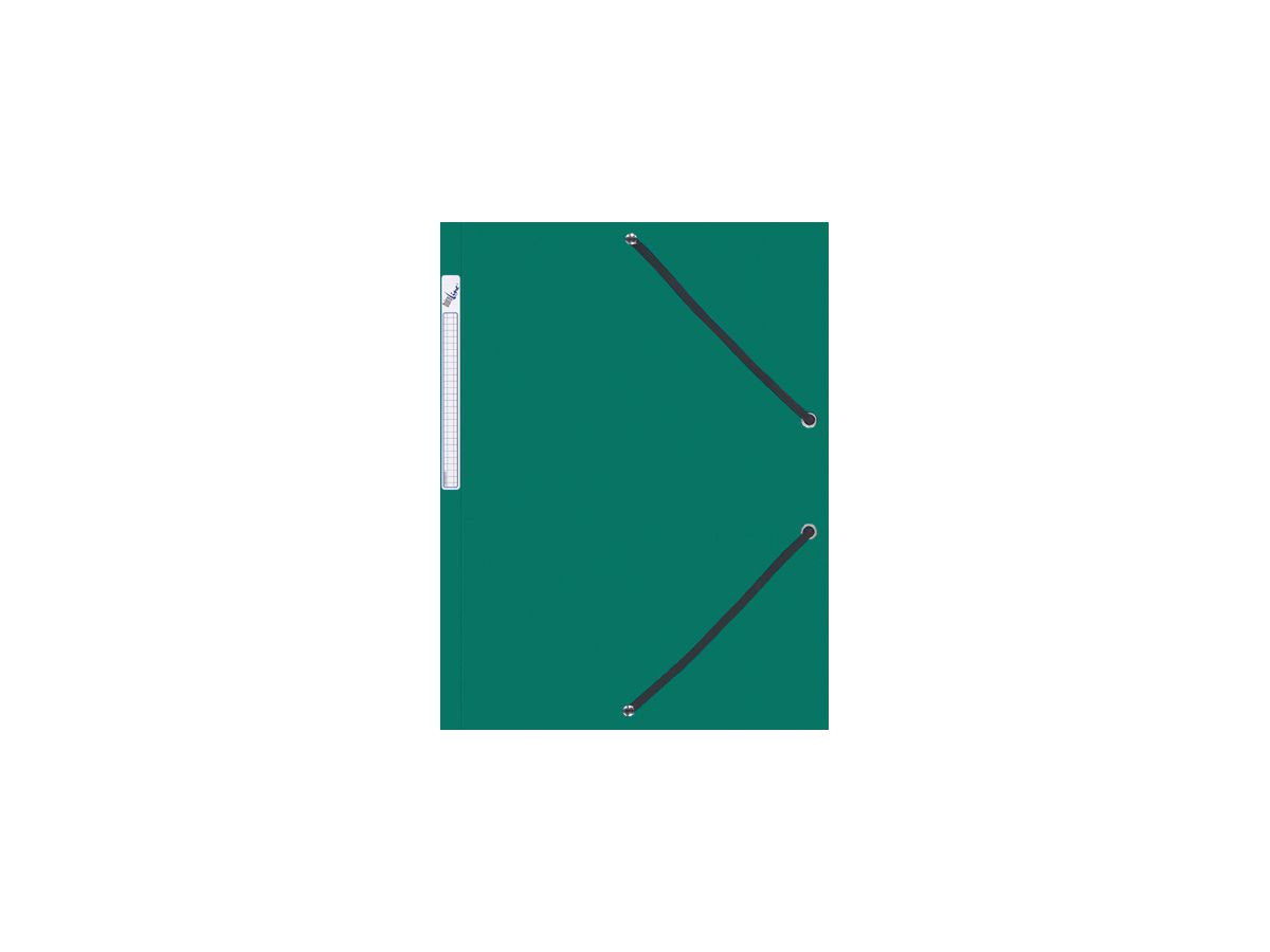 BÜROLINE Pochette à élastique A4 614493 vert, plastique (7612532021670)