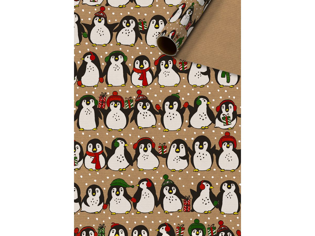 STEWO Geschenkpapier Cookie/Friends 2526161399 70x500cm (7630050877890)