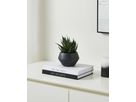 EGLO Plante artificielle 17.5cm 428491 vert, en pot (9008606367900)