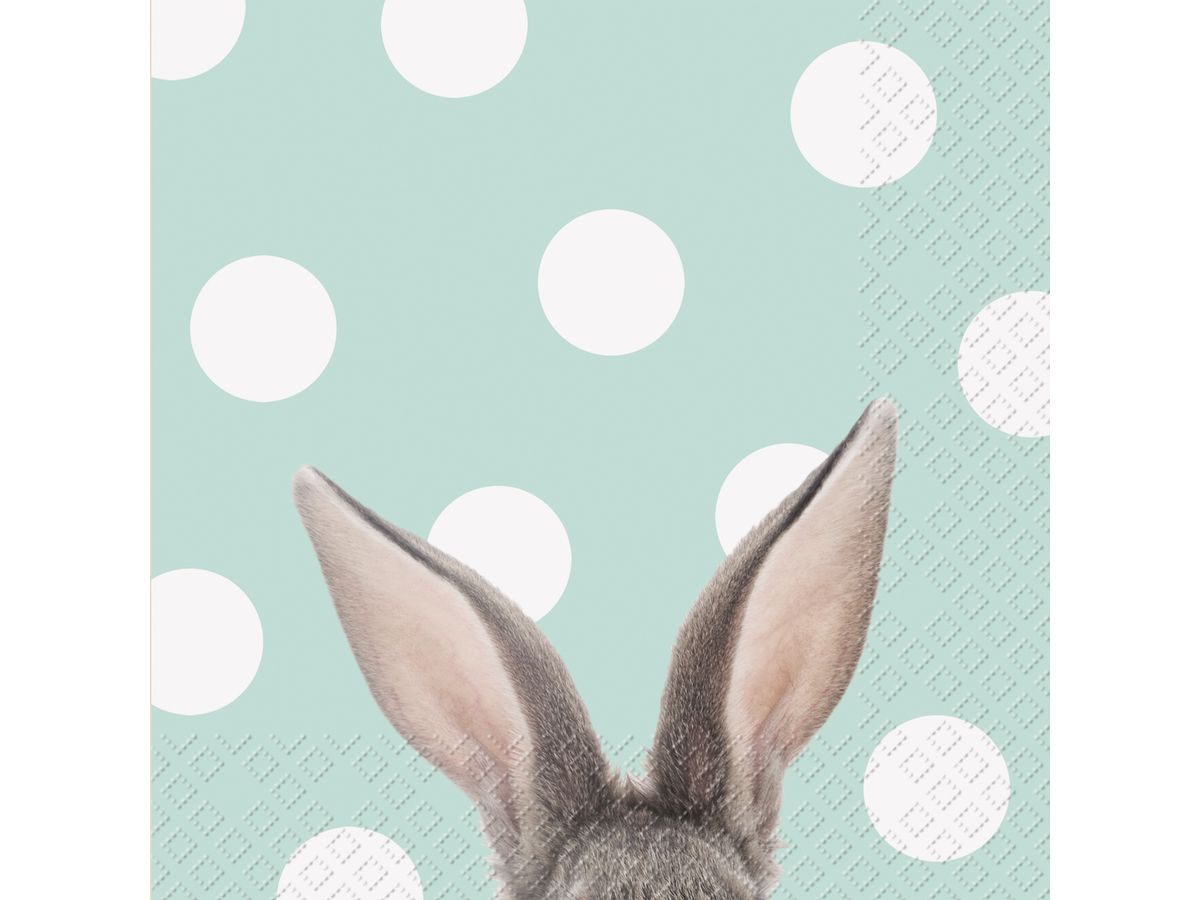 STEWO Salviette 33x33cm 2572654643 Yon FSC mint 20 pezzi (7630021184163)