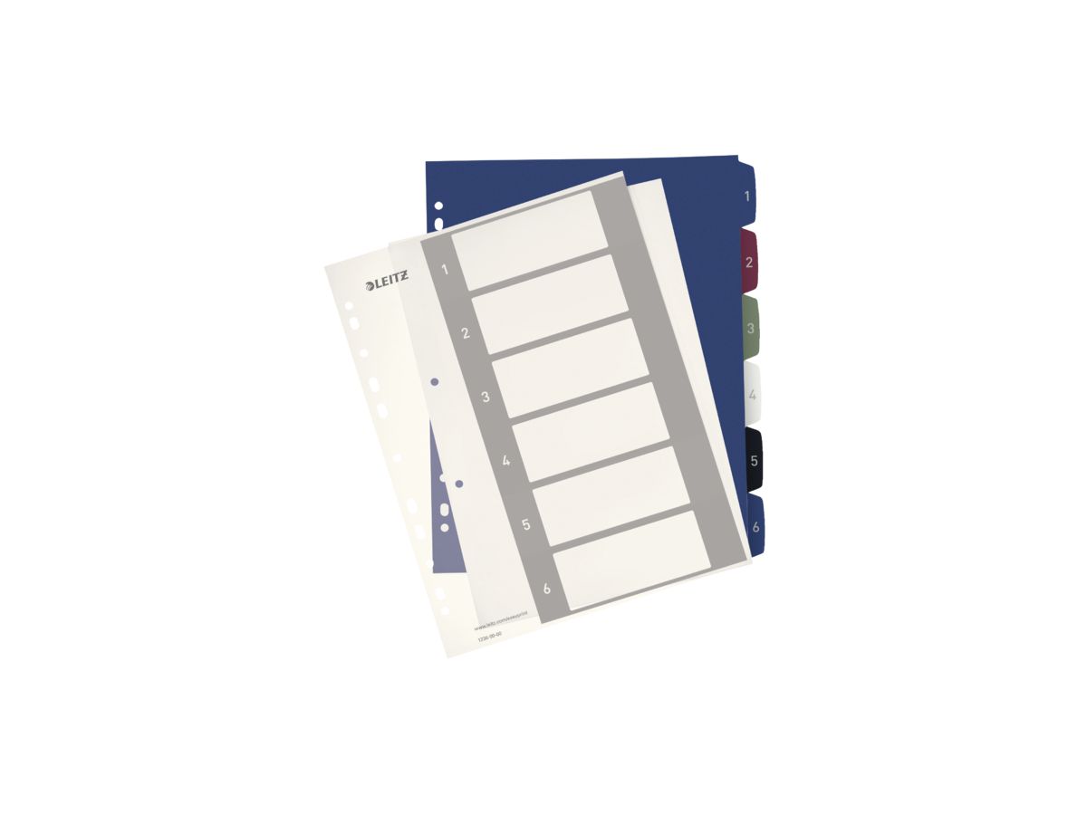 LEITZ Register PP Style A4+ 12360000 multicolore 1-6 (4002432115532)