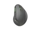 SPEEDLINK PIAVO PRO Illum. Ergo Mouse SL-630026-BK Wireless,Rechargeable,Black (4027301907223)