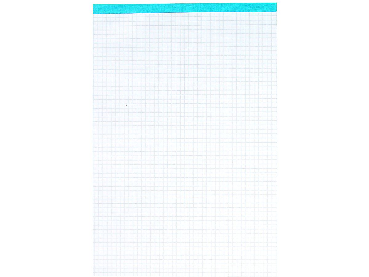 ELCO Blocco appunti Office A4 73411.18 quadrettato, 65g 100 fogli (7610425485707)