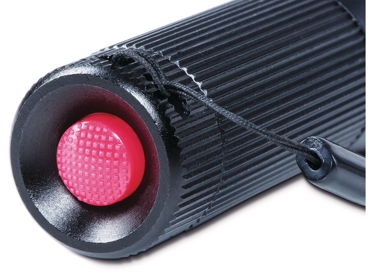 MAUL Lampe de poche MAULeos 0.5W 6.72 noir, 30000h, 15lum (4002390066211)