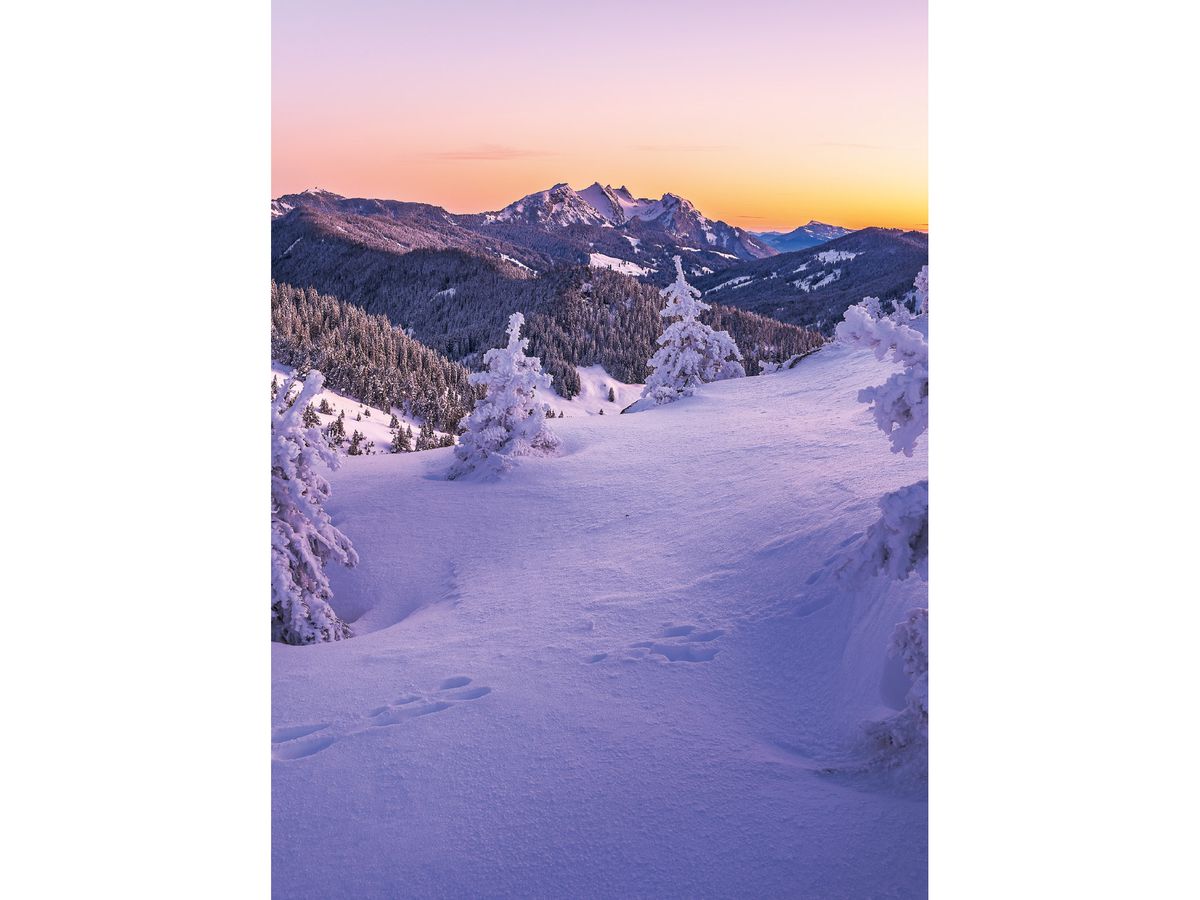 CALENDARIA Planer 2026 9783036205328 Swiss 23x31.5cm (9783036205328)