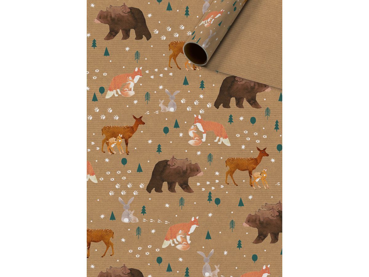 STEWO Geschenkpapier Cookie/Friends 2526161399 70x500cm (7630050877890)