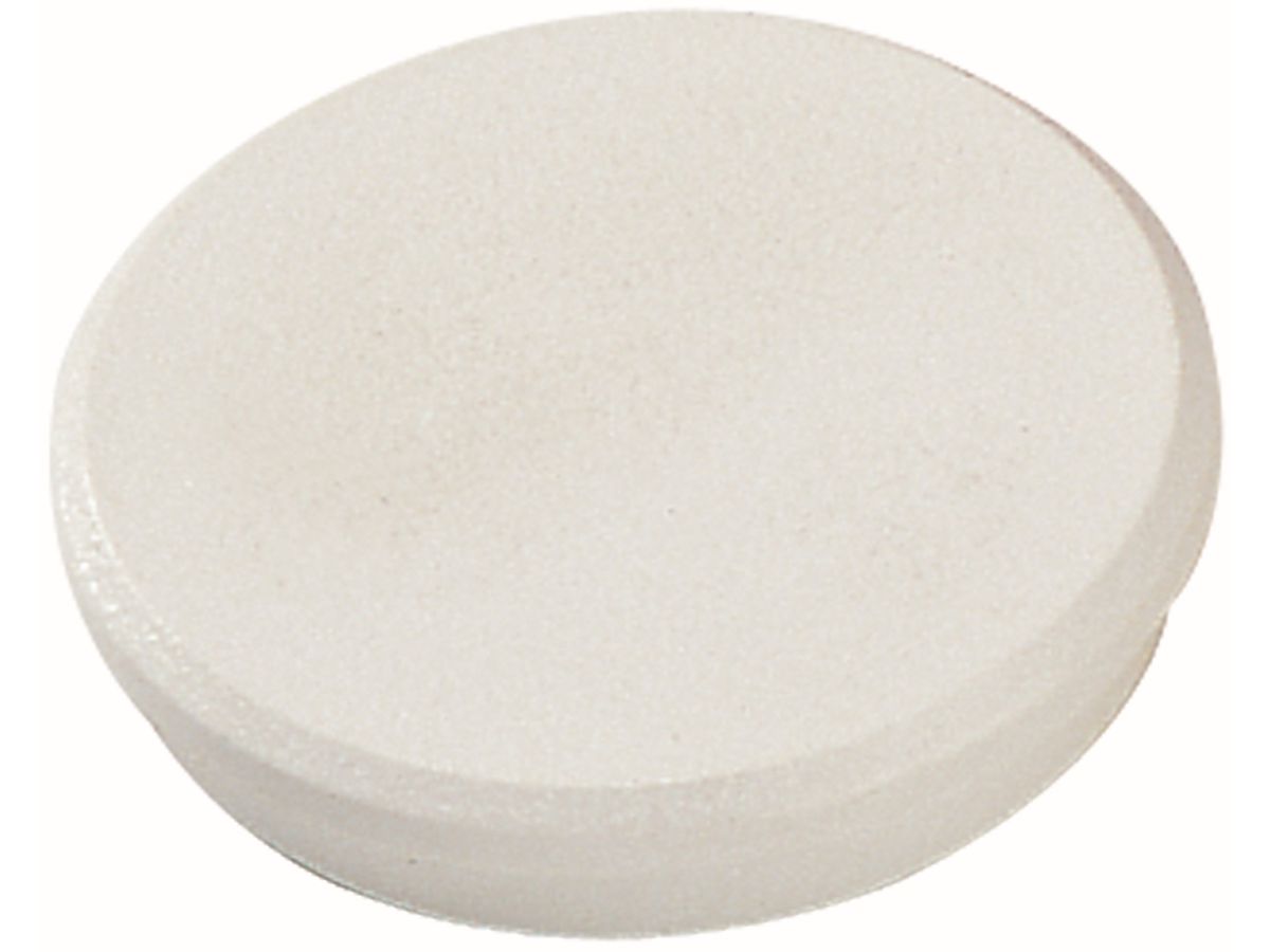 DAHLE Magnete 95532-21400 10 Stk. 32mm weiss (4007885915326)