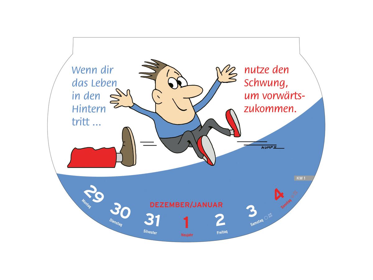 HEYE Abreisskal. Dumme Sprüche 2026 1302+26 1W/1S DE 28.7x21cm (9783756409532)