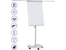 FRANKEN Flipchart ECO 68x105cm F2400/N hellgrau mobil (4016946198905)