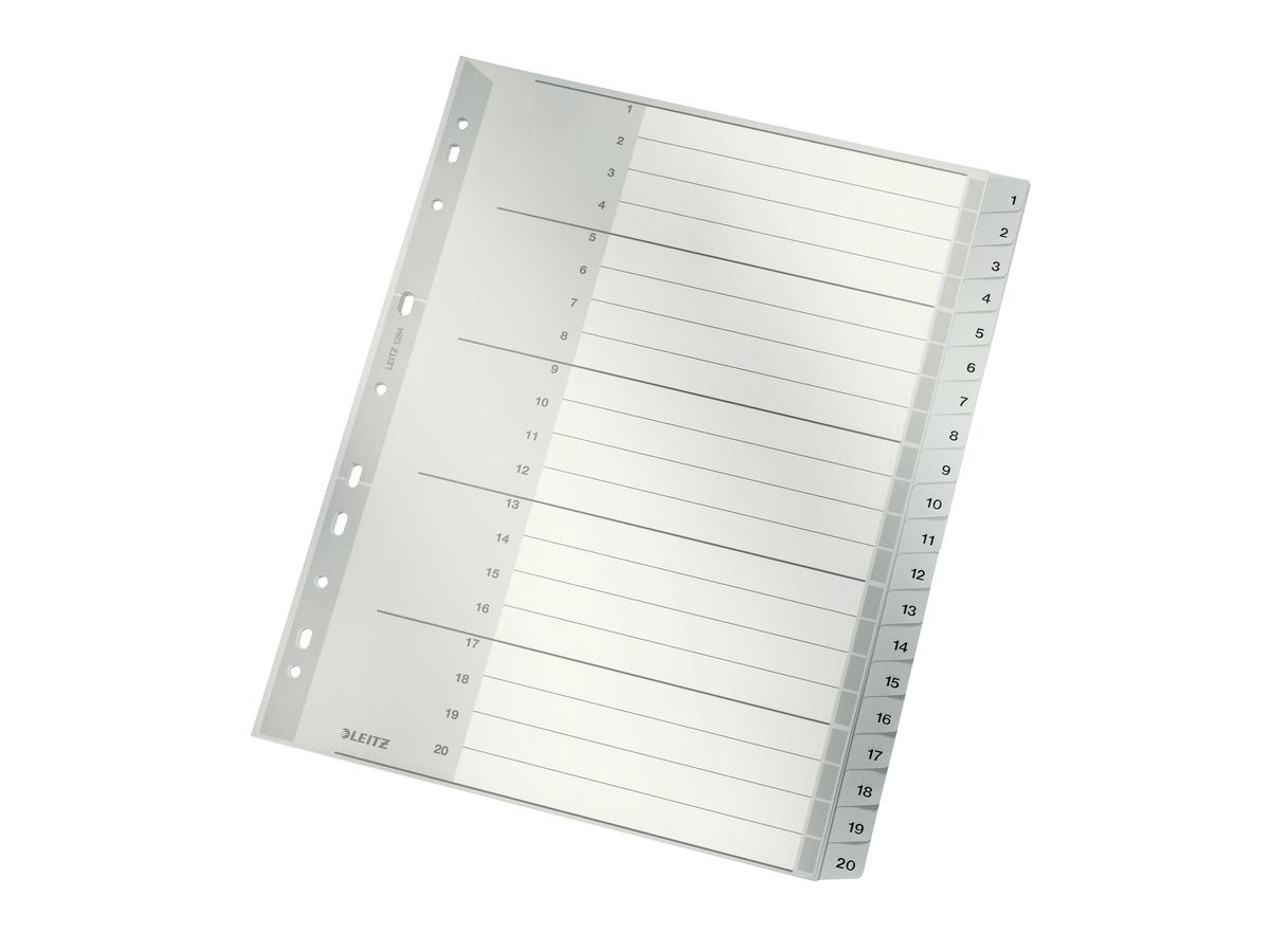 LEITZ Registro PP A4+ 12840000 grigio 1-20 (4002432334957)