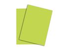 PAPYRUS Rainbow Paper FSC A3 88042613 120g, vert 250 feuilles (7318761039416)