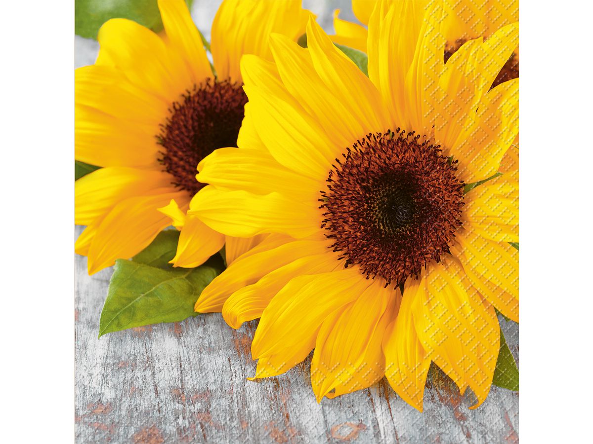 STEWO Servietten 33x33cm 2572681110 Isadora FSC 20 Stück (7630021164271)