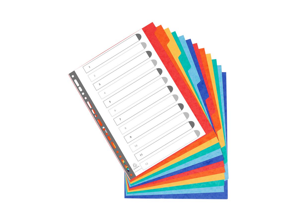 EXACOMPTA Kartonregister A4+ 2612E intensiv 12-teilig (3130630026129)