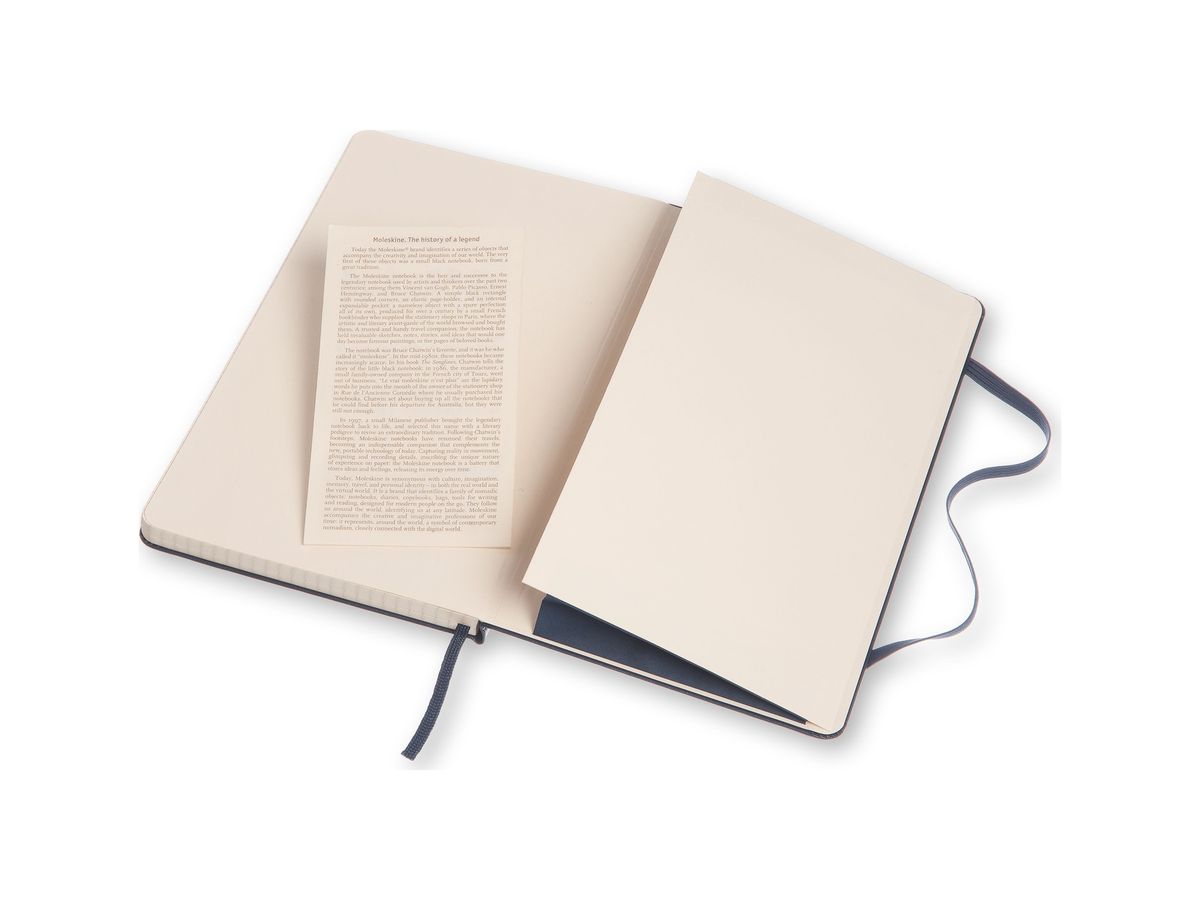 MOLESKINE Notizbuch L A5 893762 kariert Saphir (8051272893762)