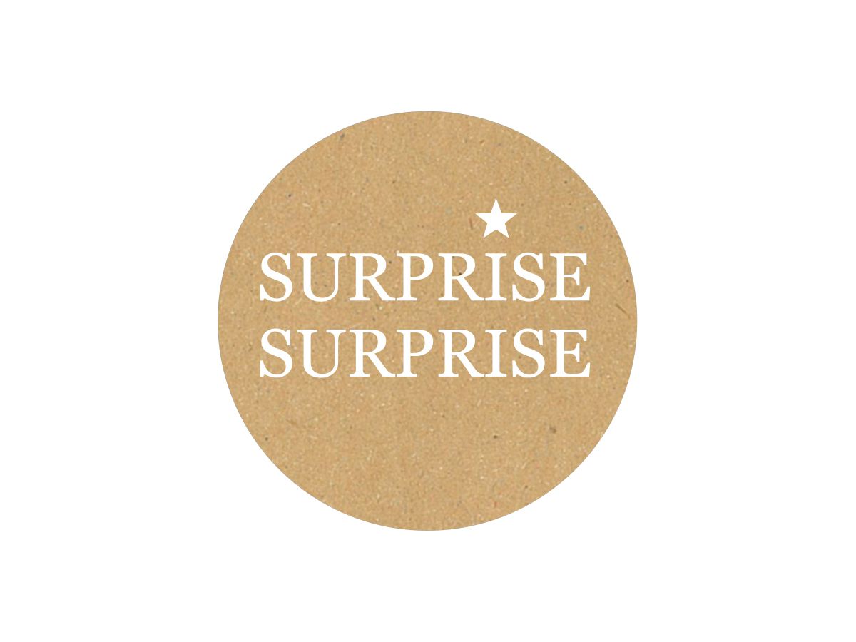 STEWO Sticker 5cm Janne 5 2584551956 braun chiaro 250 pezzi (7630050850206)