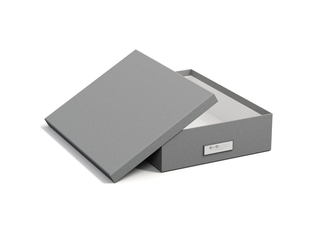 BIGSO BOX OF SWEDEN Aufbewahrungsbox Oskar 945154141 grau 26x35x8.5cm (7330061945419)