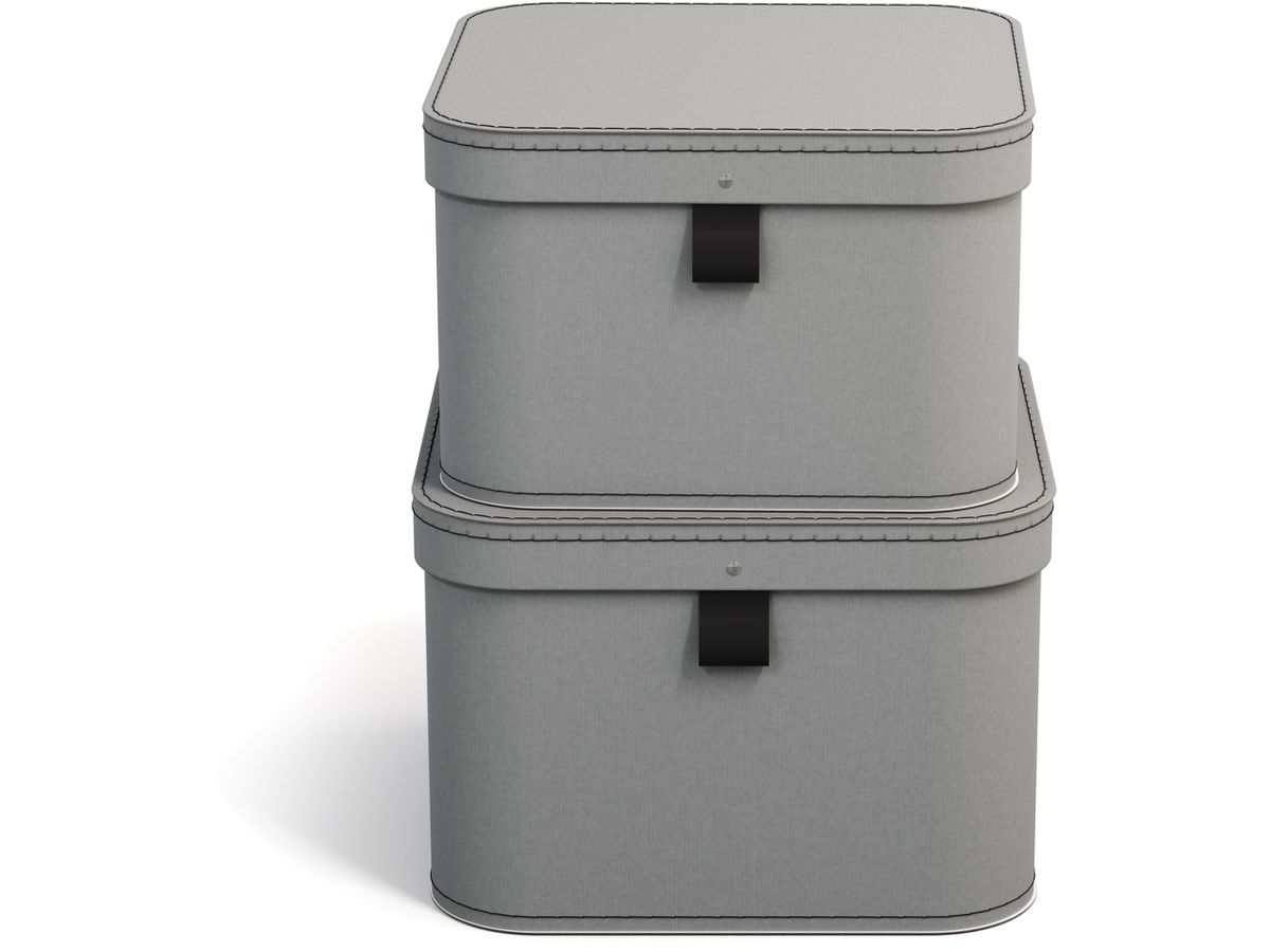 BIGSO BOX OF SWEDEN Boîte de rangement Ludvig 746254133FL0 gris 2er-Set (7330061084170)