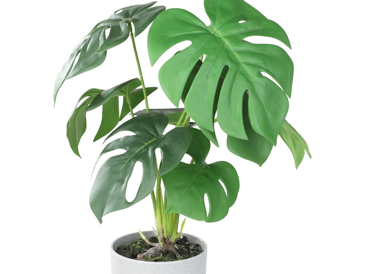 EGLO Pianta artificiale 42cm 428017 verde, in vaso (9008606253364)