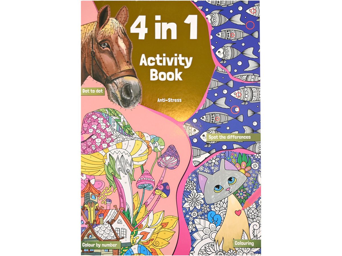 ROOST Livre d'activités colorier A4 B19295 4 in 1 (8711851192951)