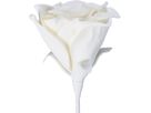 EGLO Kunstblume MOLAVE 428132 weiss (9008606279043)