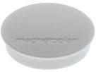 MAGNETOPLAN Magnet Discofix Standard 30mm 1664201 grau, ca. 0.7 kg 10 Stk. (4013695010991)