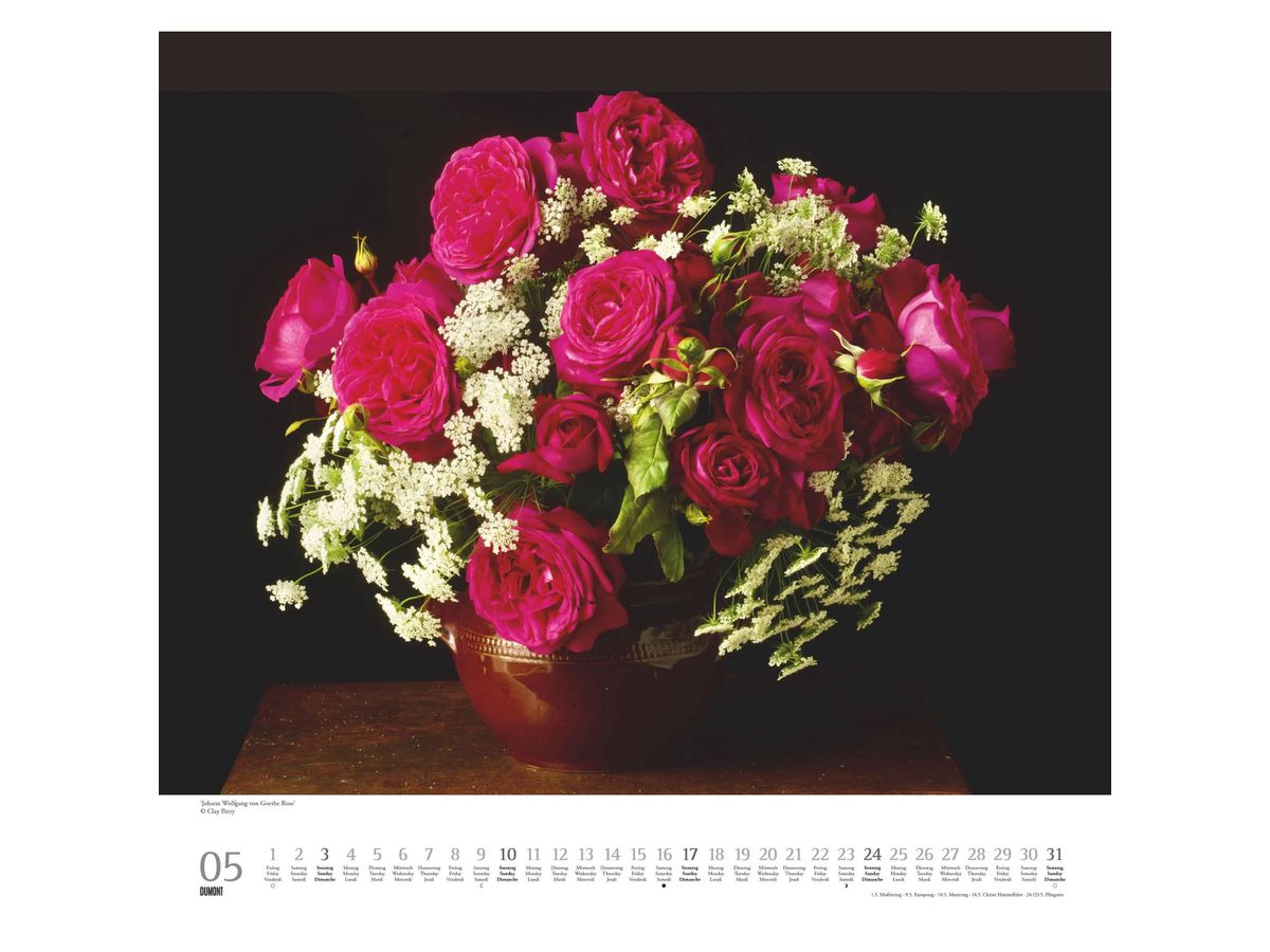 DUMONT Bildkalender 2026 260373 Rosen ML 38x35.5cm (4069095003736)