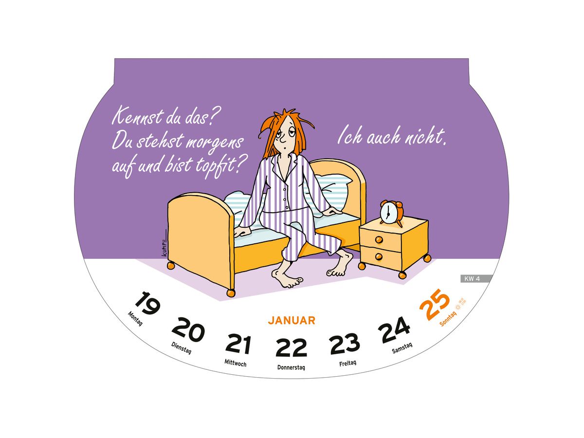 HEYE Abreisskal. Dumme Sprüche 2026 1302+26 1W/1S DE 28.7x21cm (9783756409532)