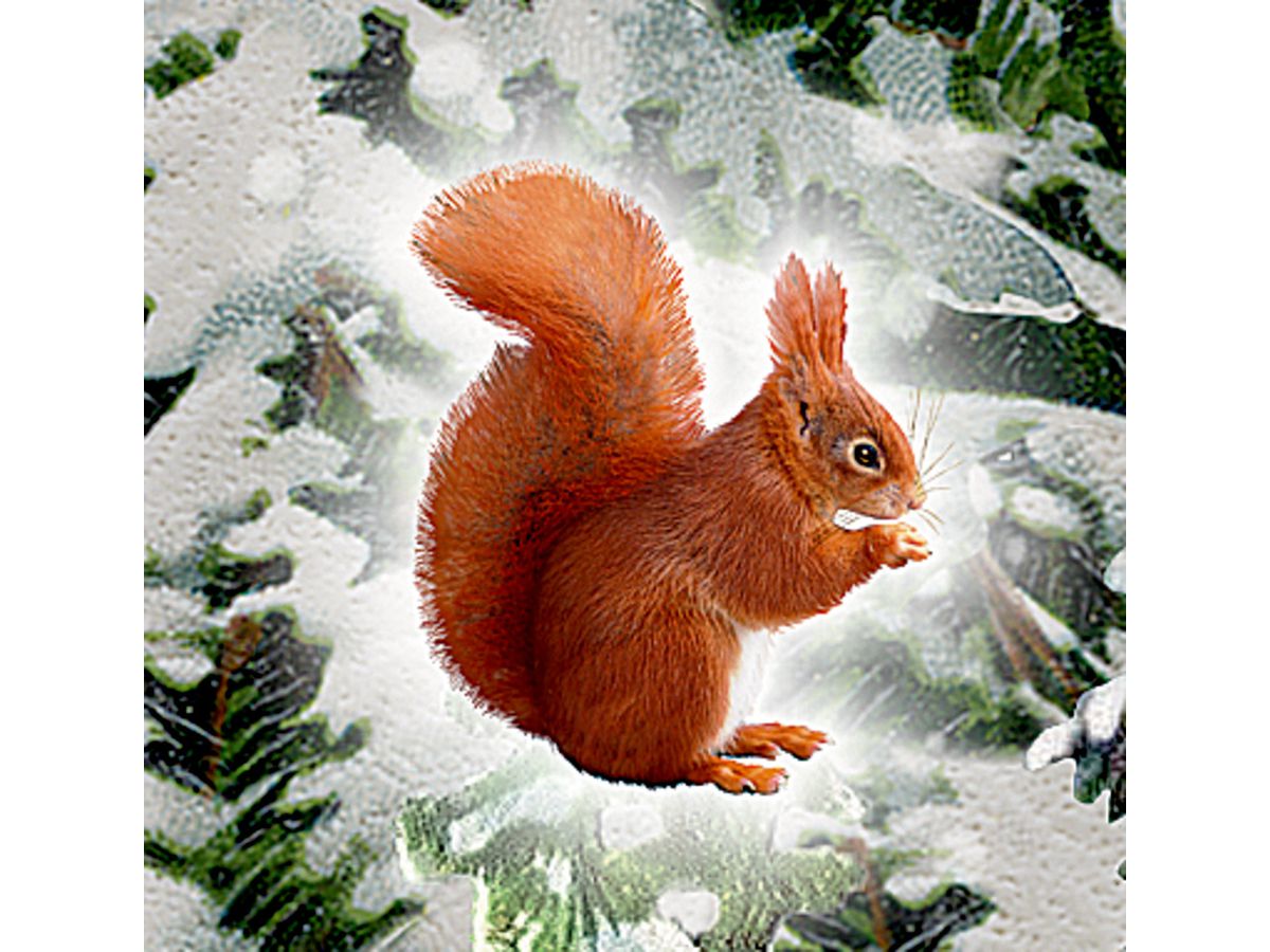 COPPENRATH Wandkalender 72619 Weihnachtslaterne (4050003726199)