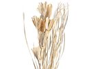 EGLO Fleur séchée 100cm 428051 beige (9008606258741)